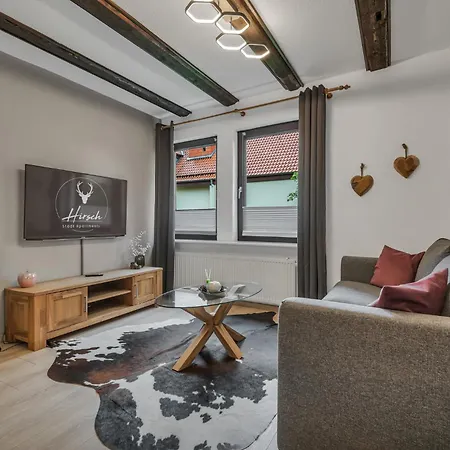 Lägenhet Hirsch Stadt 6 - Balkon Mit Flussblick - Parkplatz Bad Harzburg