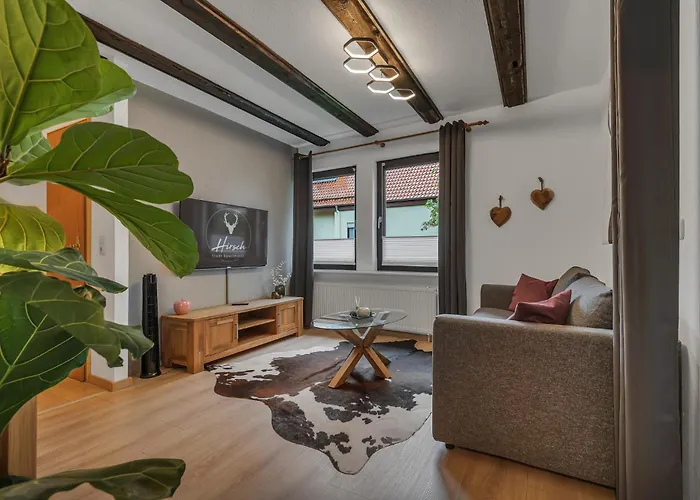 アパート Hirsch Stadt 6 - Balkon Mit Flussblick - Parkplatz *